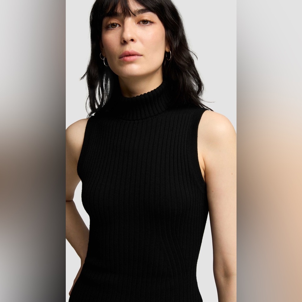 Zara Sleeveless Turtleneck Top